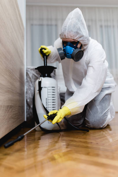 Emergency Pest Control Services in Whitehouse, OH